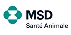 MSD